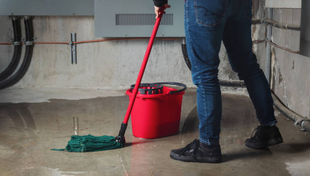 Best Flood restoration services  in Fairmont, WV