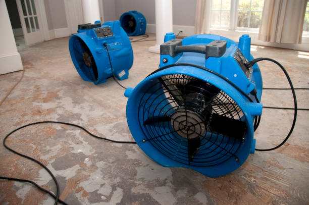 Best Carpet water damage restoration  in Fairmont, WV
