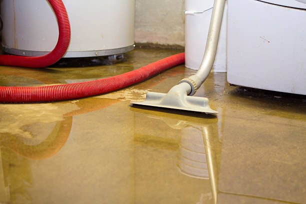 Best Water damage restoration cost  in Fairmont, WV