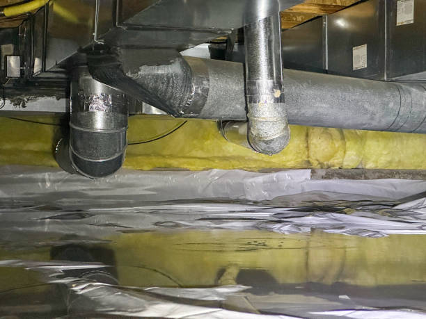 Best Mold removal after water damage  in Fairmont, WV