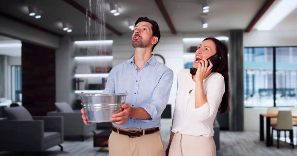 Best Ceiling water damage repair  in Fairmont, WV