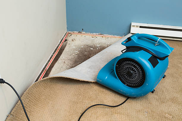 Best Sewage cleanup and water damage restoration  in Fairmont, WV